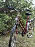 Rower damski czerwony Opals
