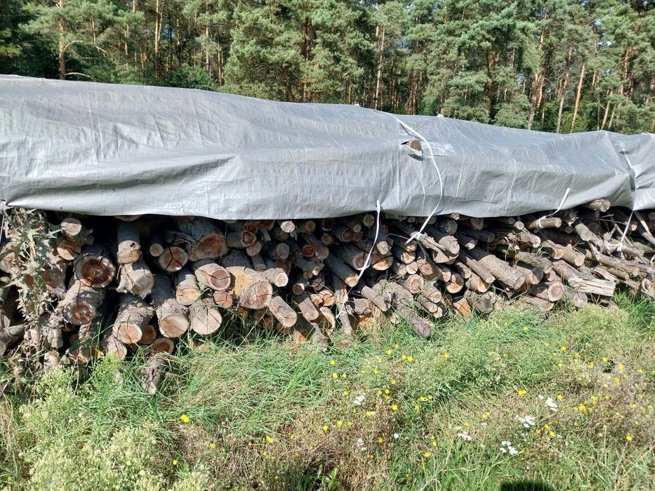 Sprzedam drewno suche wysezonowane 84 m przestrzenne