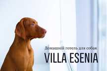 Готель для собак Villa - Esenia.