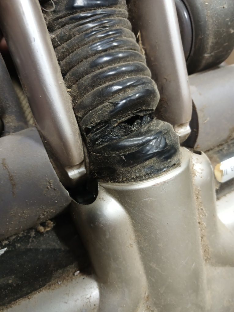 Пилосо ROWENTA  RH8545 01