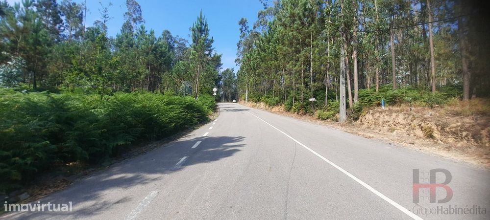 Lote de Terreno  Venda em São Miguel do Souto e Mosteirô,Santa Maria d