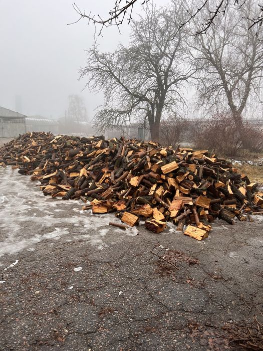 Зрізання аварійних дерев , чистка дереторій , різаня дерев ,