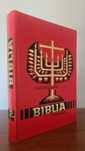 Ilustrowana Biblia młodych