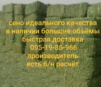 СІНО ДЛЯ ЛОШАДЕЙ в тюках, сено в тюках (проса и др) для КРС коз овец