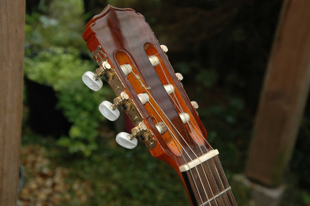 gitara klasyczna Aria