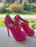 Sapatos cavalinho