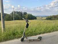 Motus scotty 10 2021