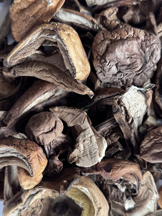 Koźlarz suszony 200g