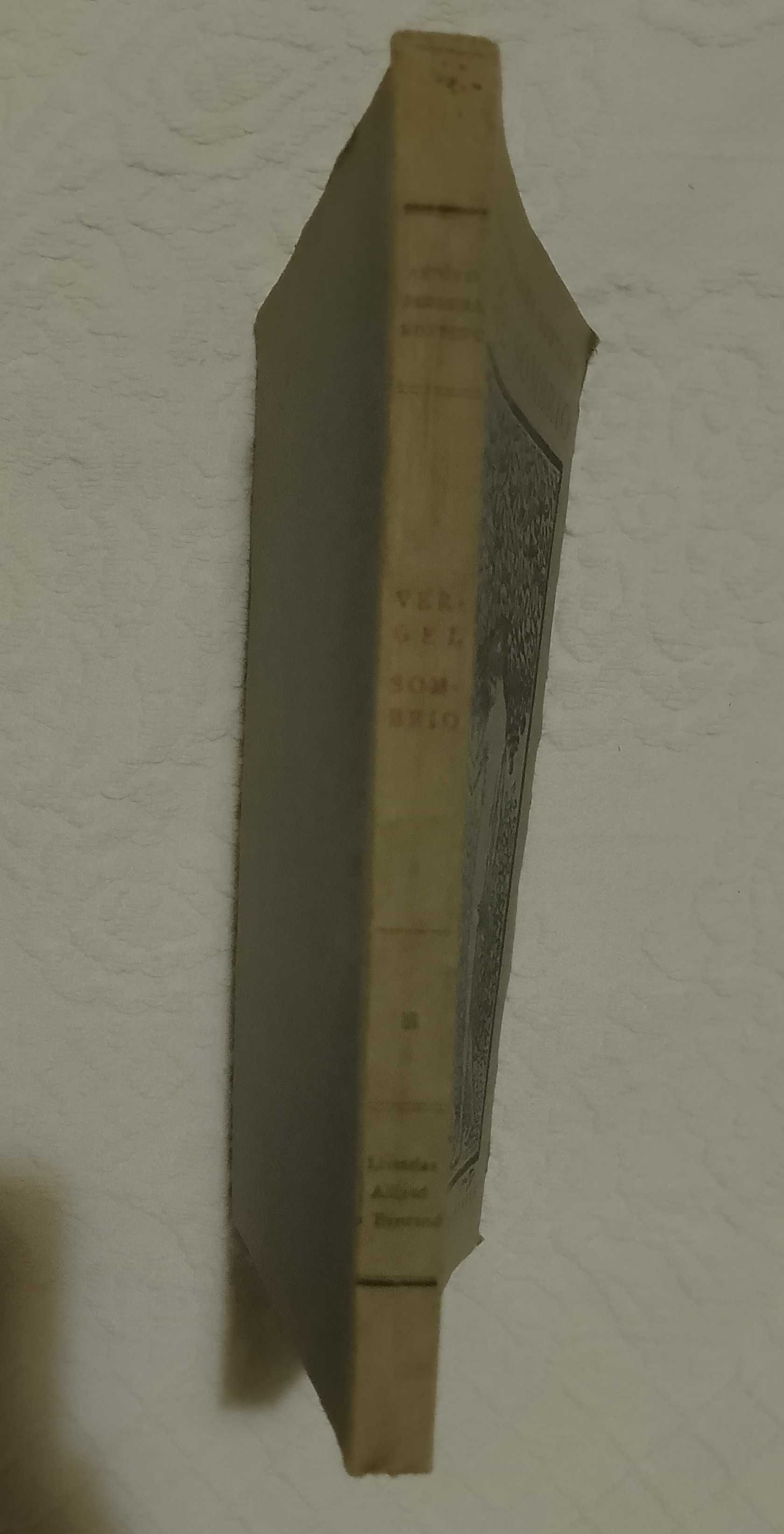 Vergel Sombrio, António Ferreira Monteiro
