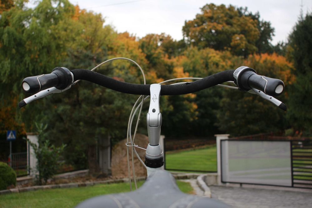 Rower Gazelle Bloom 28"