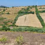 Terreno  para venda