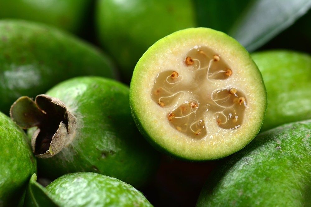 Vendo Feijoas (fruto)