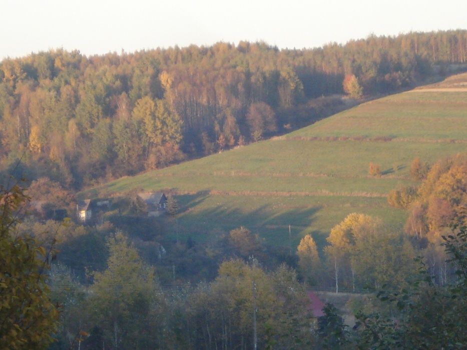 Agroturystyka Domek  Wolne wekendy wakacje  Cisza spokój góry las