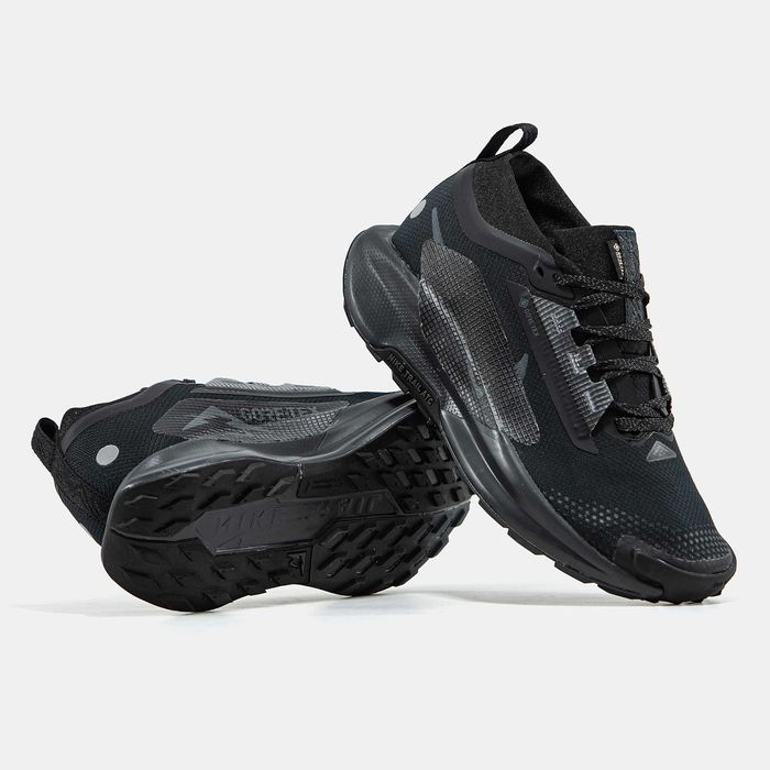 Кросівки Nike Pegasus Trail 5 Gore-Tex (Найк Гор-Текс кроссовки)