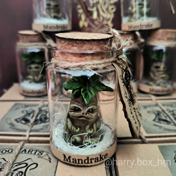 Корень Мандрагоры сова в баночке. Harry Potter. Mandrake подарунок на