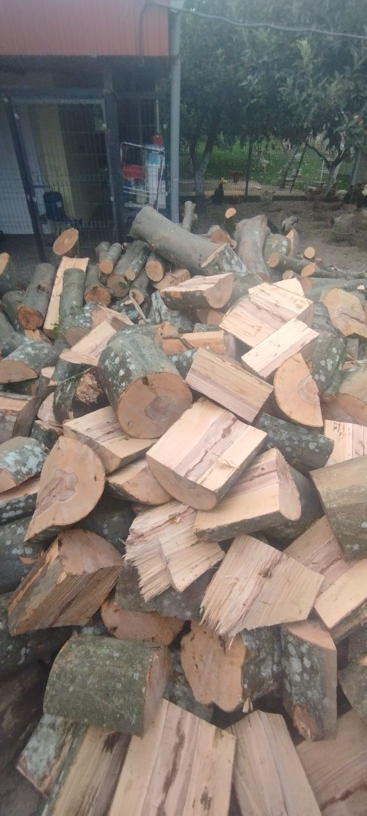 Привезу дрова Мукачево і Район