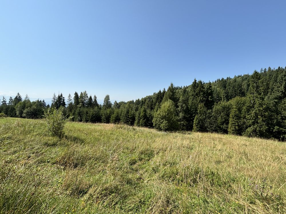 Dzialka rolna z dojazdem i widokiem na Tatry