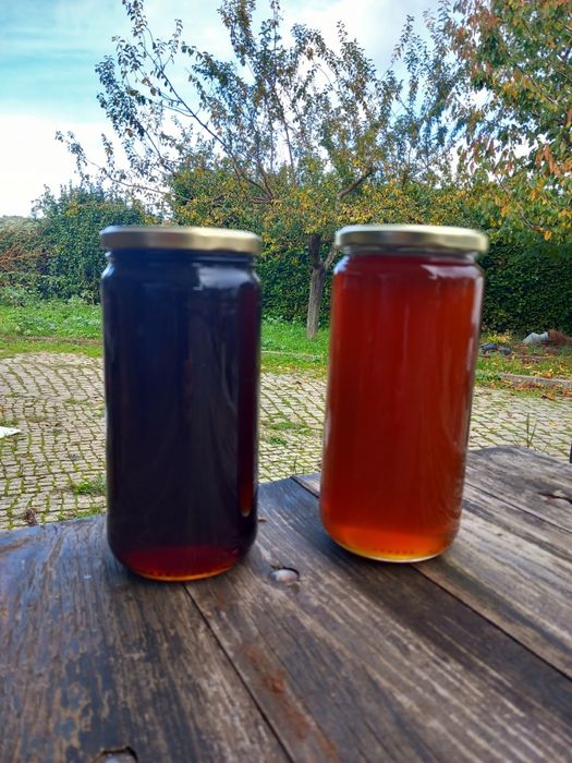 Vendo Mel de produção própria