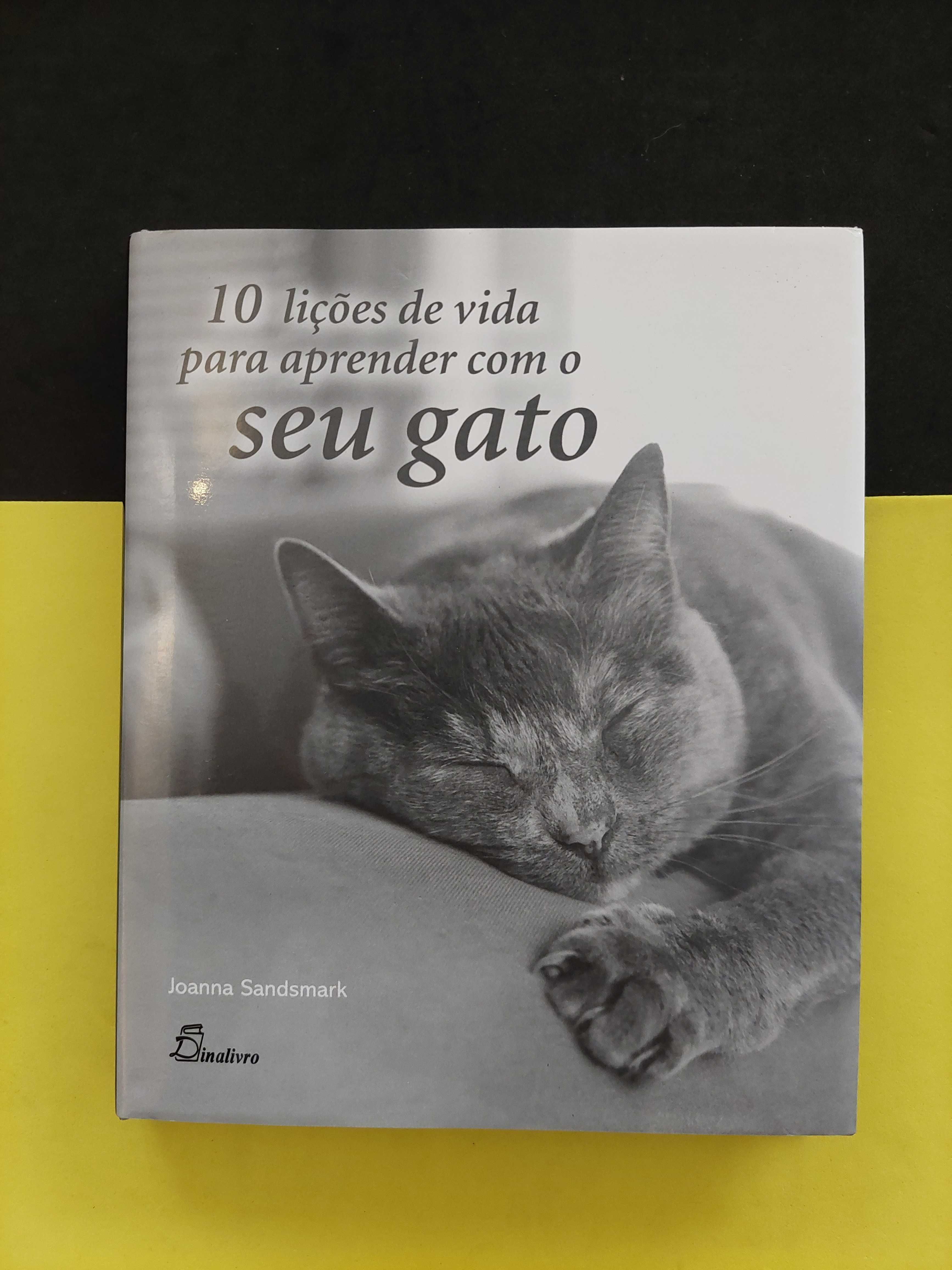 10 Lições de vida para aprender com o seu gato