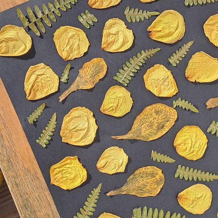 Moldura Coleção Black Vintage Jardim