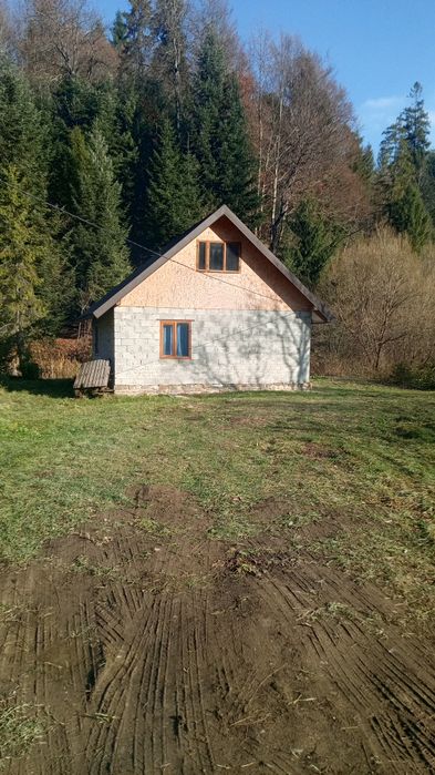 Продам будинок,в карпатах з озером,лісом навколо природа)