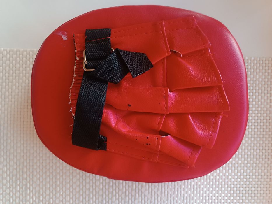 Лапа для єдиноборств