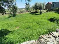 Venda terreno Retaxo - Castelo Branco