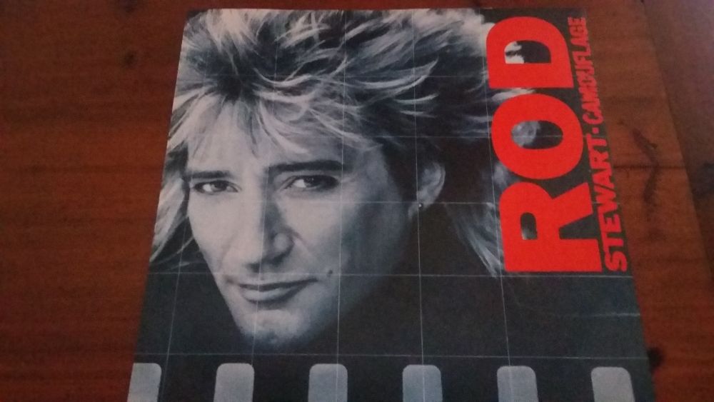 Vinil Rod Stewart - Camouflage