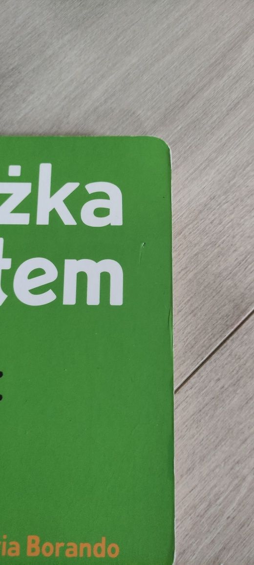 Ta książka jest kotem