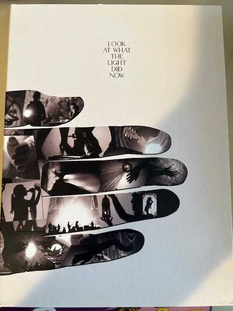 Feist: Look at What The Light Did Now