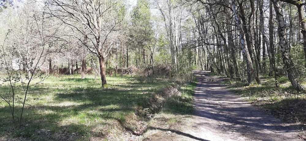 Działka 2000 m2 Głosków