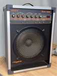 Wzmacniacz gitarowy REGENT WM30 B (wysyłka)