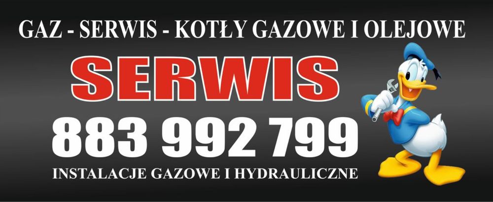 Serwis/montaż/drobne prace hydrauliczne/piece gazowe