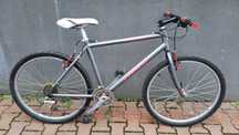 Rower EVEREST Canyon Alu rama 50 cm koło 26