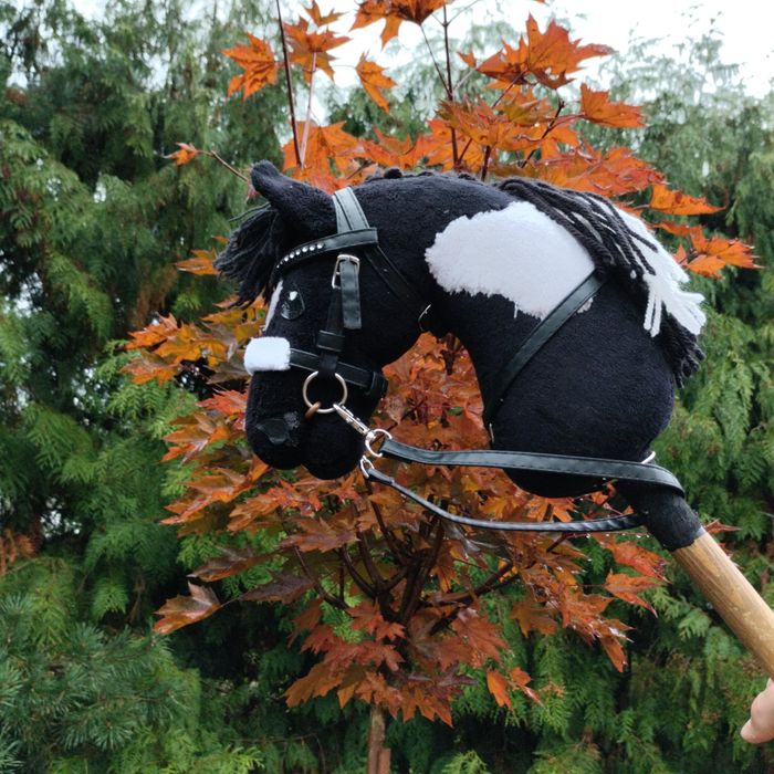 Hobby  horse  A4