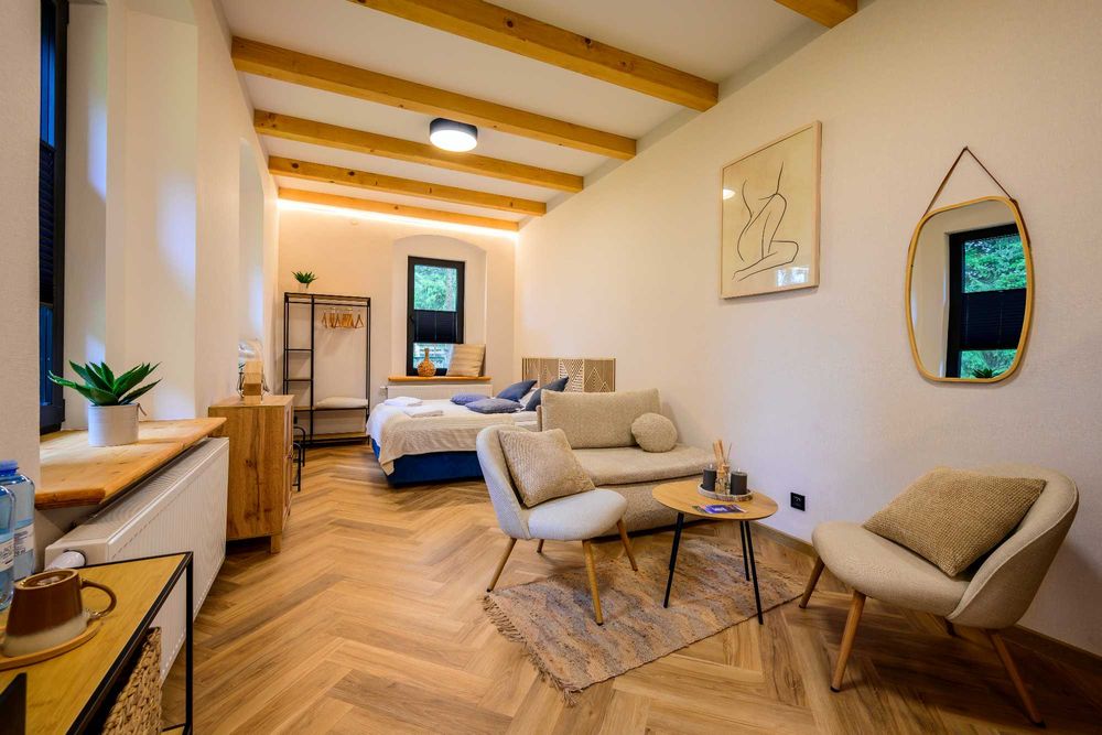 SYLWESTER W GÓRACH SOWICH-cały pensjonat max 30 osób duża sala spa