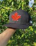 Снепбек Toronto Blue Jays