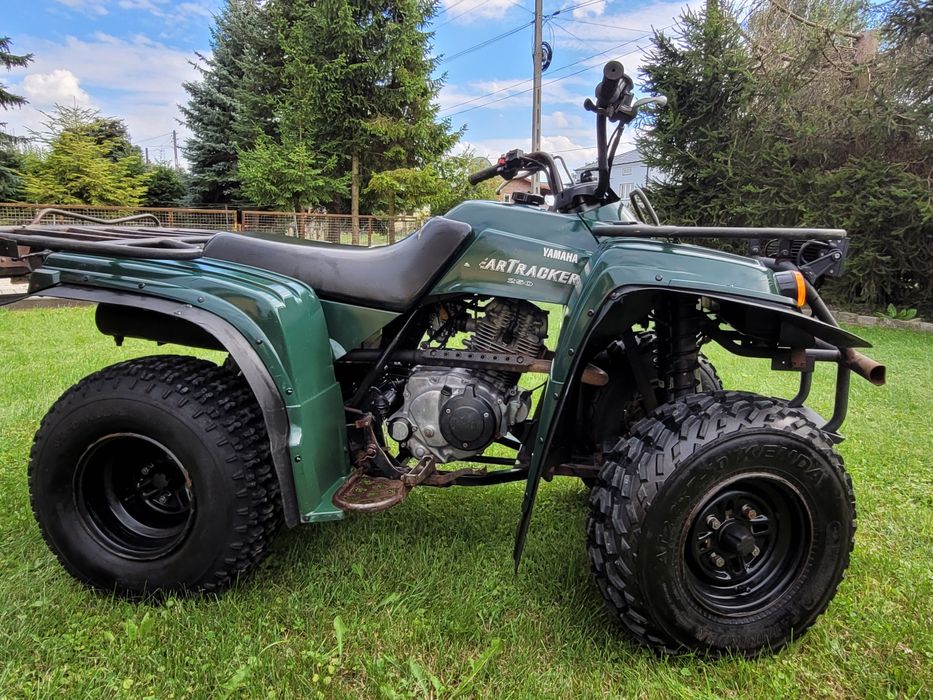 Yamaha Bear Tracker 250