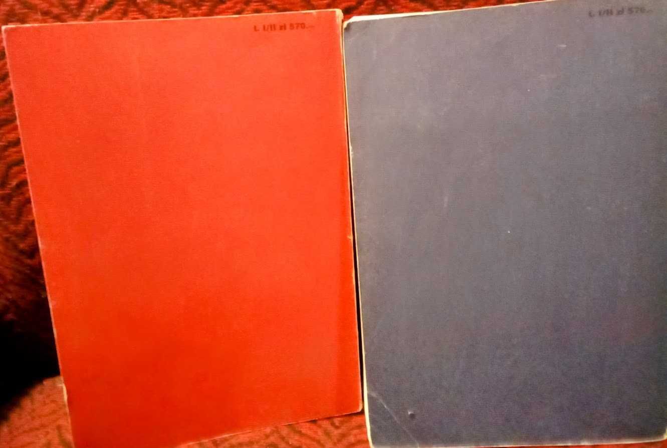 Historia literatury Stanów Zjedoczonych w zarysie - Dwa tomy