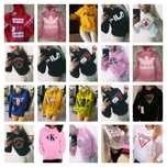 Bluzy damskie z logo Ck Boss Kolory M-XL!!