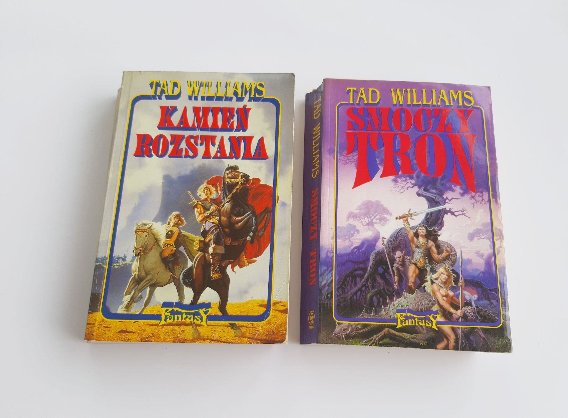 Fantasy Tad Williams Kamień rozstania Smoczy tron