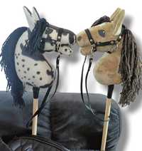 2 koniki hobby horse