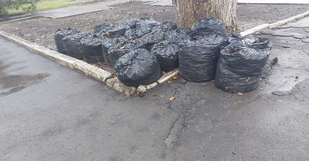 Листя для підживлення