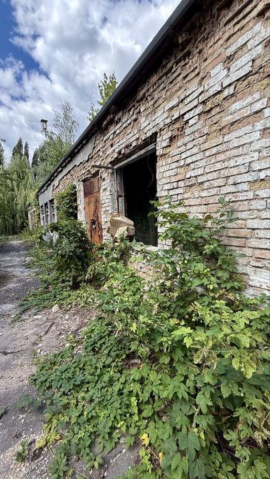 Комерційний об’єкт у м. Обухів 650м2 + 53сот.