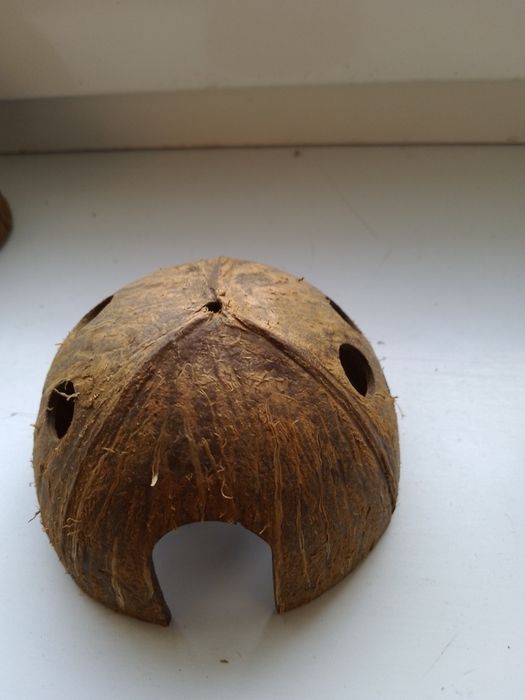 Кокосова шкаралупа