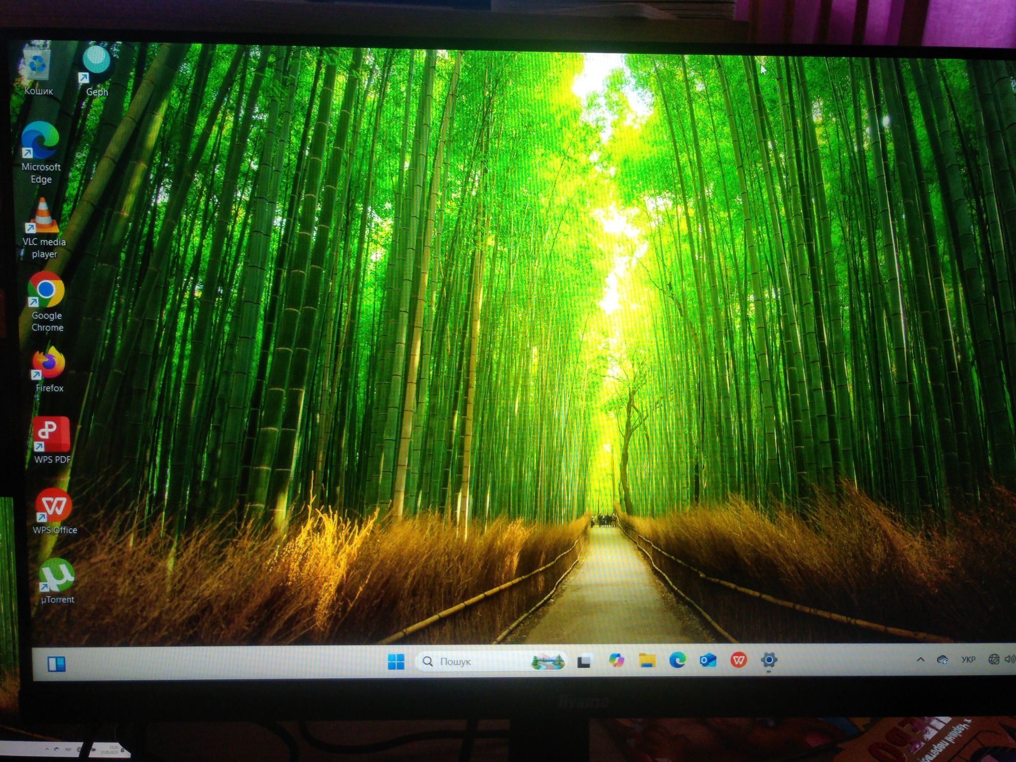 Монітор iiyama G-Master GB2470HSU-B1 165Hz, 0,8mc