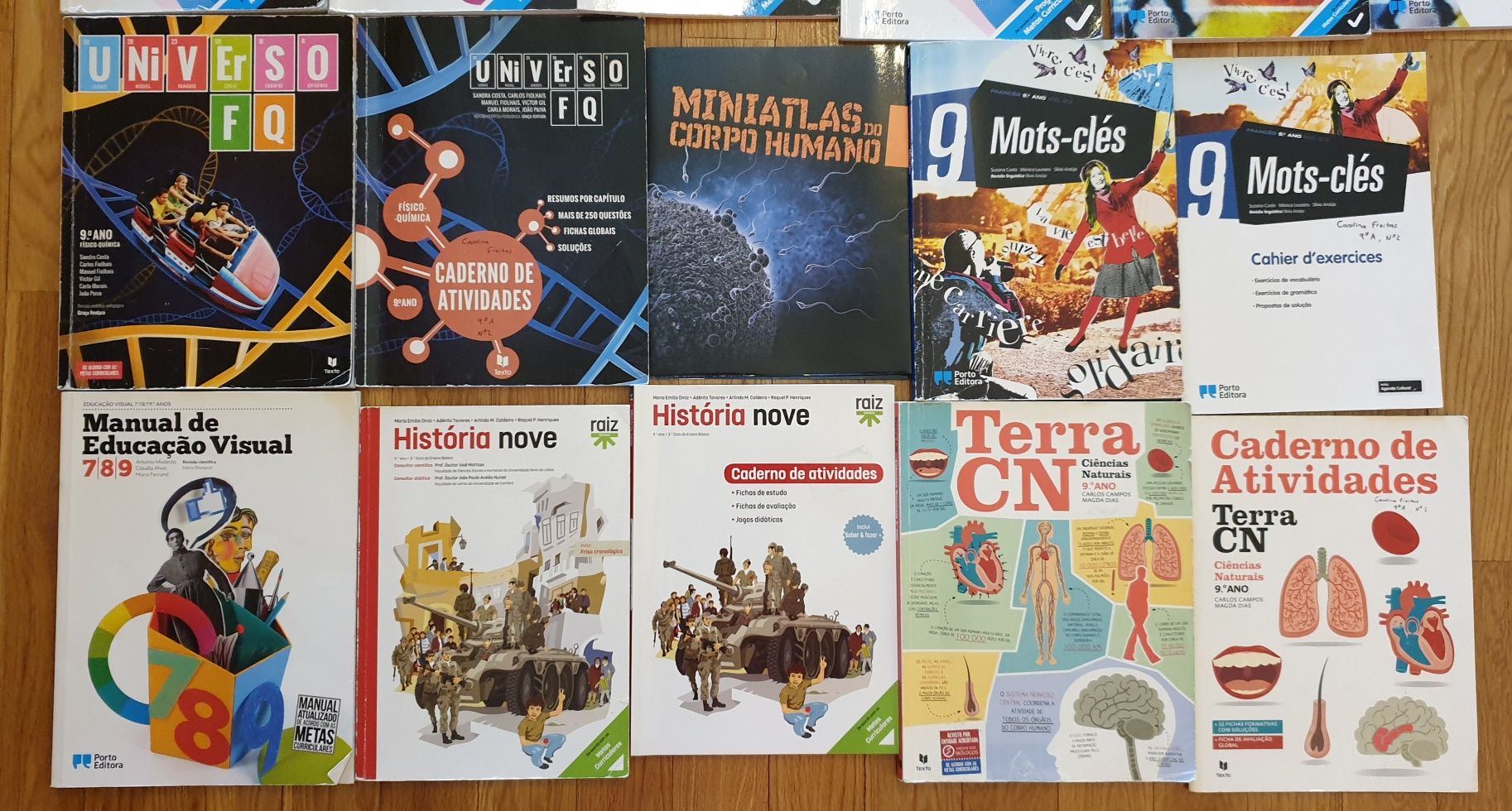 Livros Manuais 9°ano