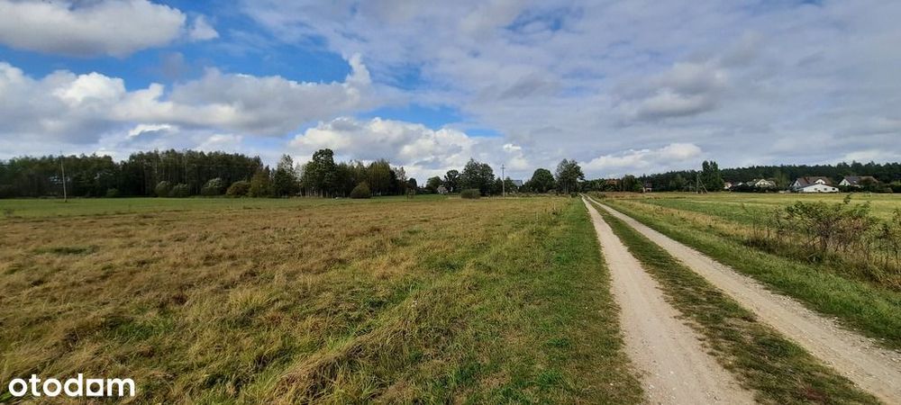 Działka 3001 m² – Ponikła | Spokojna okolica