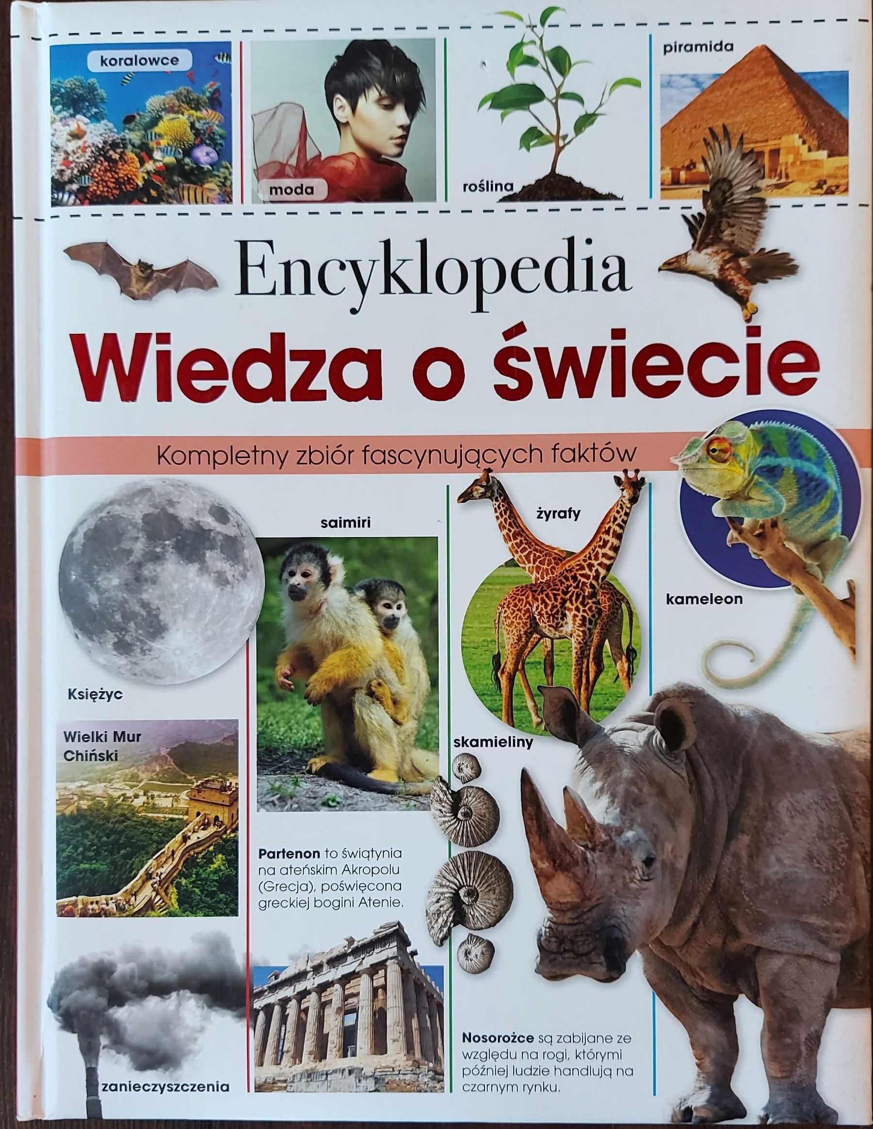 Encyklopedia Wiedza o świecie