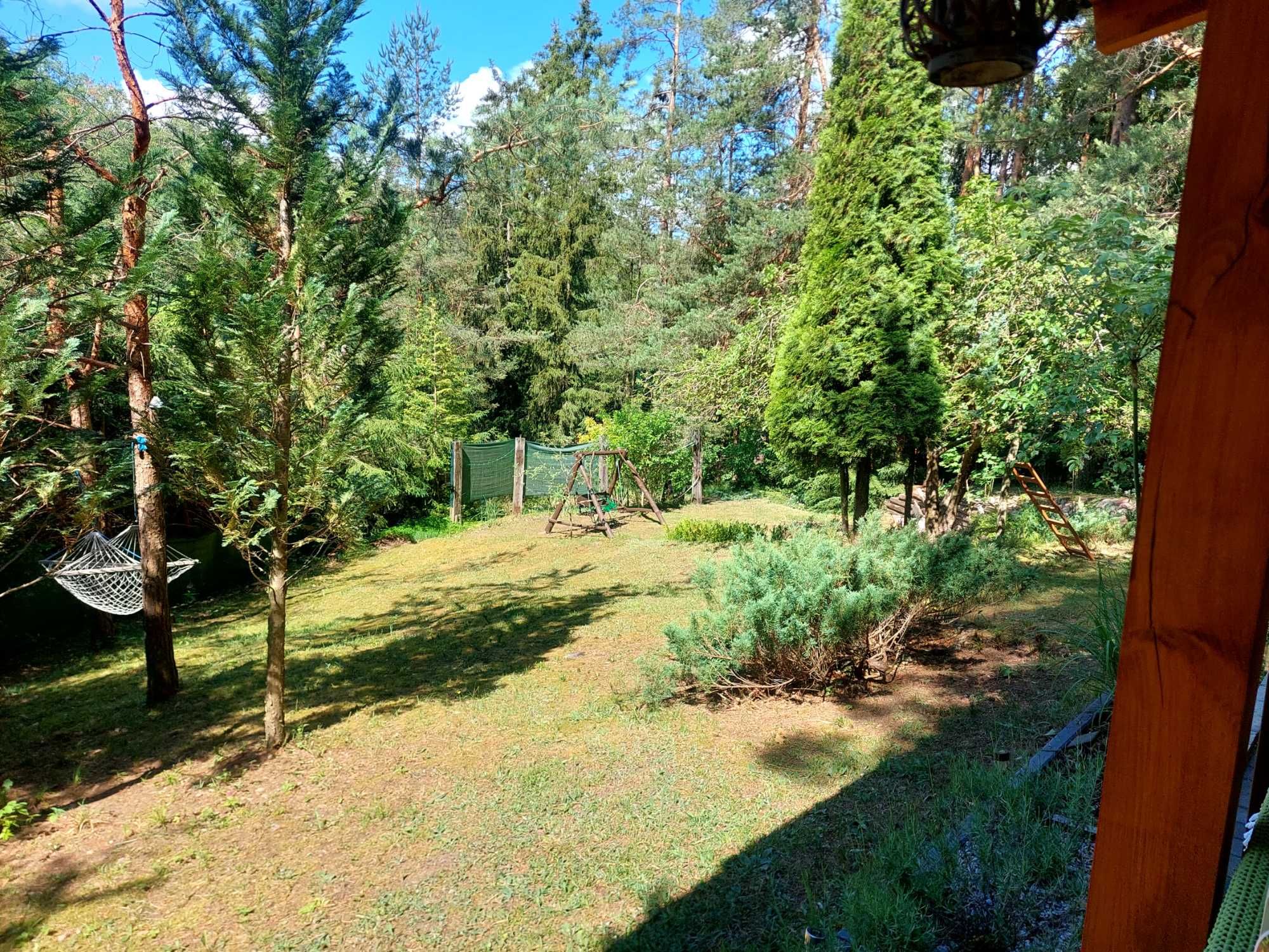 Domek do wynajęcia dolina rospudy
